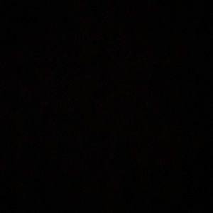 Meet your Posher, Lexi